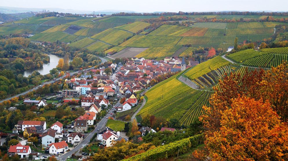 Blick über Randersacker