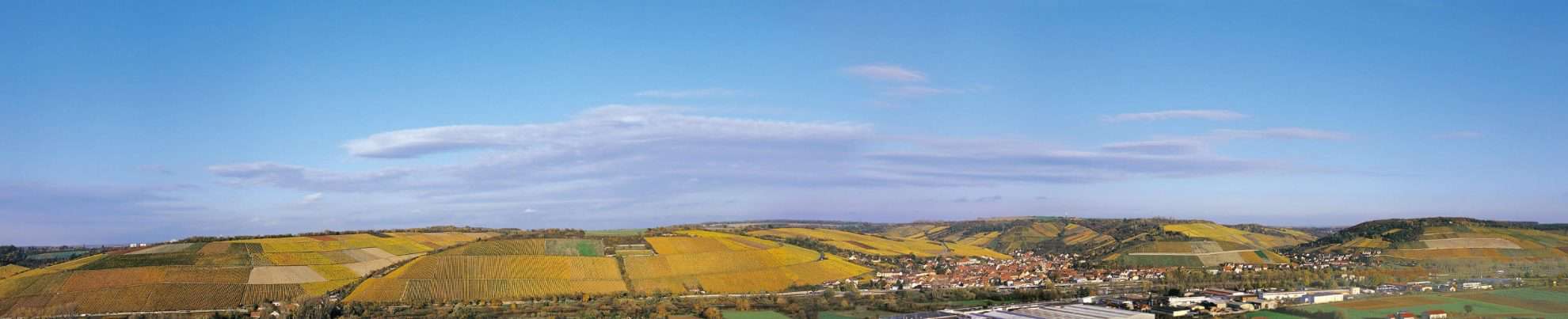 Randersacker Weinberge