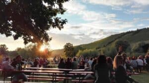Uferweinfest Randersacker