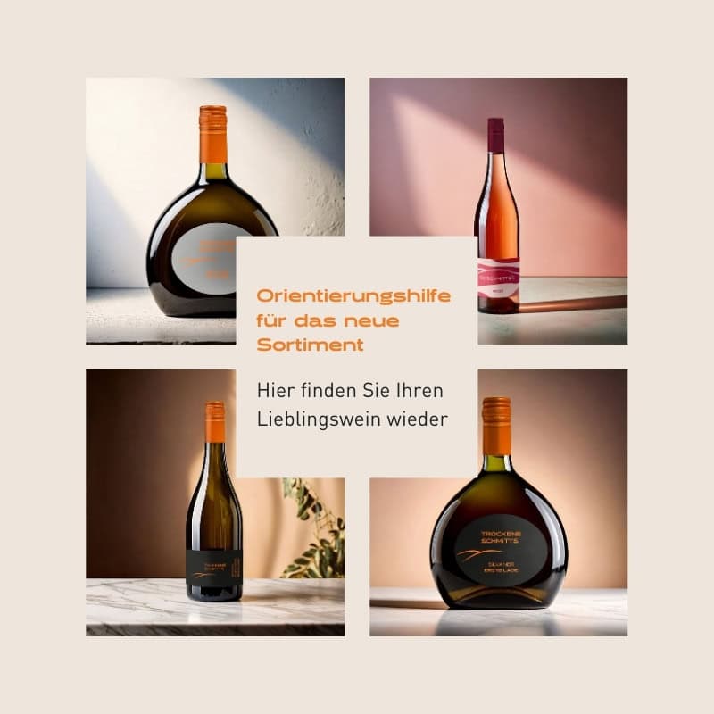 orientierungshilfe neues sortiment lieblingswein finden 800x800 1